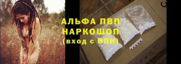 PSILOCYBIN Абаза