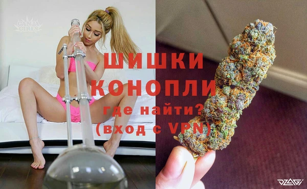 PSILOCYBIN Абаза