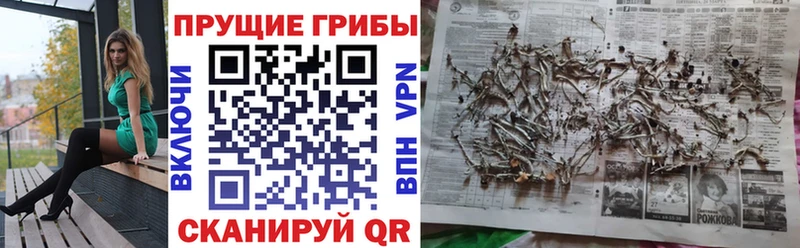 Галлюциногенные грибы GOLDEN TEACHER  маркетплейс официальный сайт  Зубцов 
